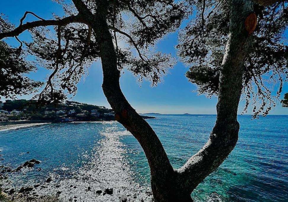 شقة Escapade Au Coeur De Sanary المظهر الخارجي الصورة